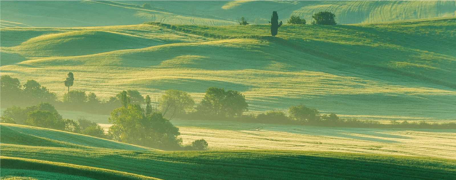 Prethroids Technical...